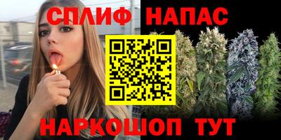 гашик Канаш